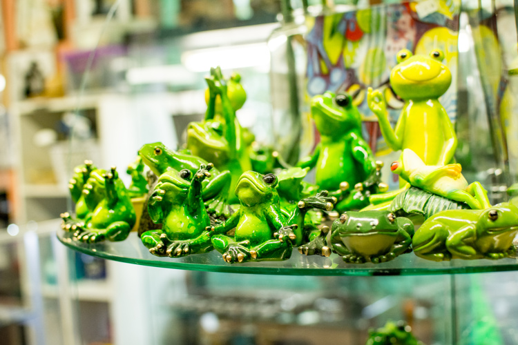 daintree river tours