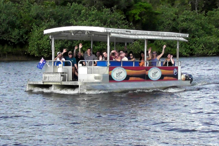 daintree crocodile tours